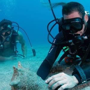 Meet your Posher, Frank